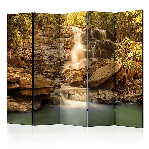 5-teiliges Paravent - Sunny Waterfall Ii [room Dividers] günstig online kaufen