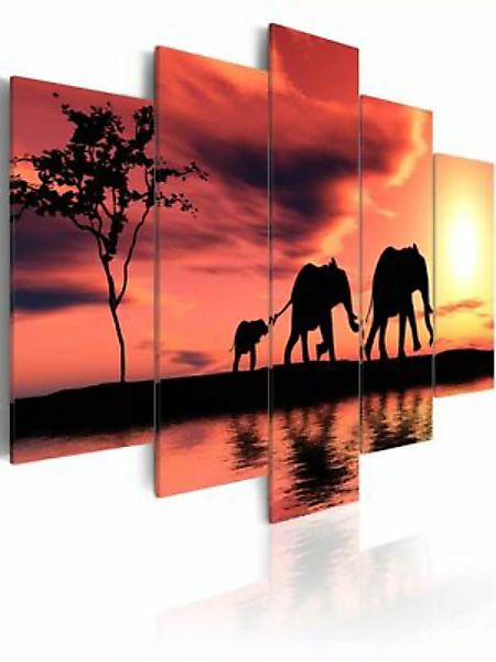 artgeist Wandbild Kleine Elefanten-Familie mehrfarbig Gr. 200 x 100 günstig online kaufen