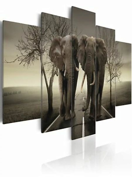 artgeist Wandbild It's a wild World! creme/grau Gr. 200 x 100 günstig online kaufen
