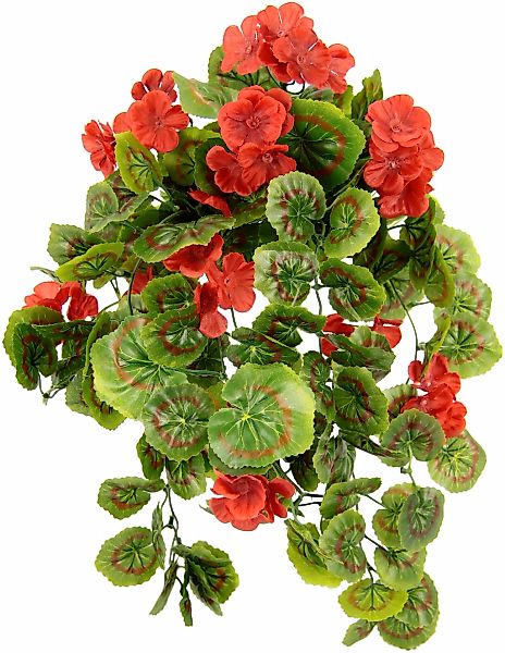 I.GE.A. Kunstpflanze "Hängende Geranie", 40 cm günstig online kaufen
