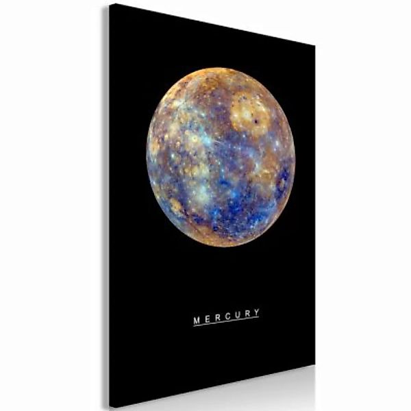 artgeist Wandbild Mercury (1 Part) Vertical mehrfarbig Gr. 40 x 60 günstig online kaufen