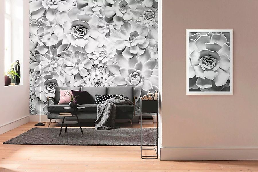 Komar Vliestapete »Shades Black and White«, 400x250 cm (Breite x Höhe), Vli günstig online kaufen