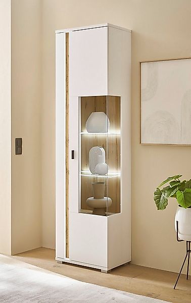 INOSIGN Vitrine "LONG ISLAND" 1 Stk. tlg. in moderner Trendfarbe,inklusive günstig online kaufen