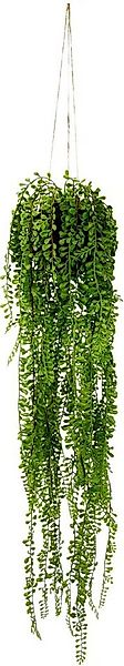 Kunstpflanze Seneciohänger, I.GE.A., Höhe 75 cm, Mit Hängeampel günstig online kaufen