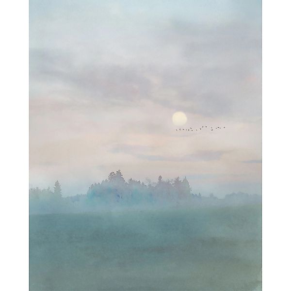 Komar Vliestapete »Digitaldruck Vlies - Hazy Hush - Größe 200 x 250 cm« bed günstig online kaufen