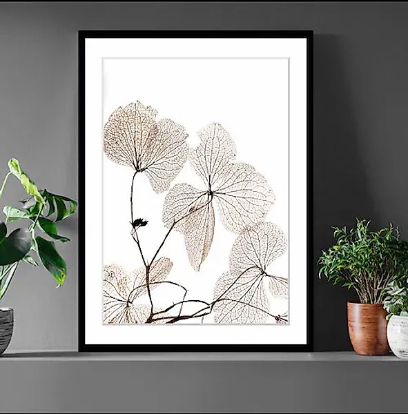 queence Bild »Ina«, Blumen, Blumen, gerahmt günstig online kaufen