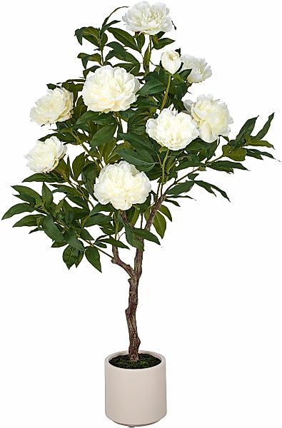 Creativ green Kunstpflanze "Peonie" im eleganten Topf günstig online kaufen