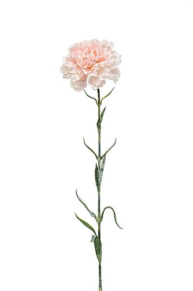 Kunstblume Rosa, Durchmesser 9 cm, Emerald, günstig online kaufen