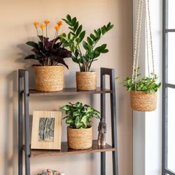 Scheurich Blumentopf nut 15/509 Hängeampel günstig online kaufen