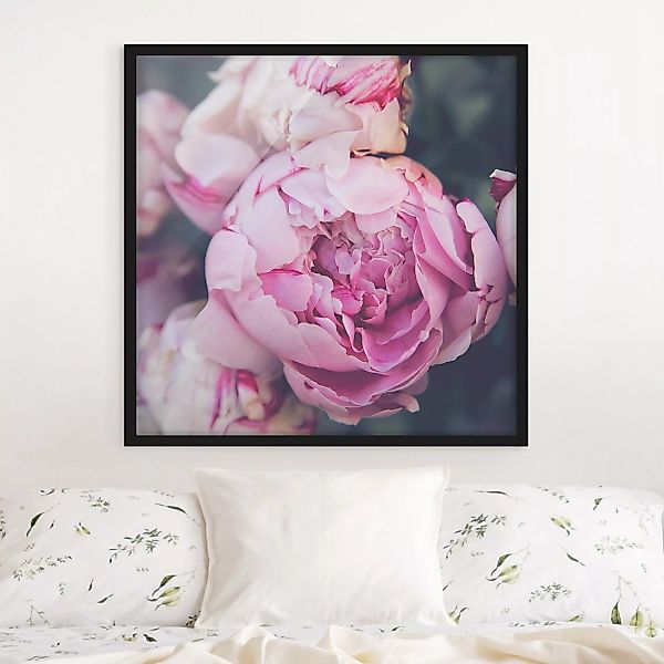 Bild mit Rahmen Blumen - Quadrat Pfingstrosenblüte Shabby günstig online kaufen