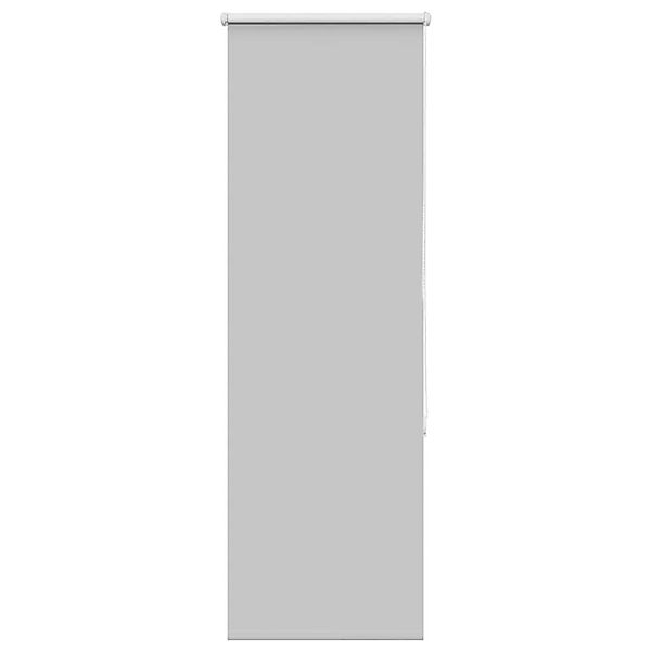 vidaXL Verdunkelungsrollo Hellgrau 50x150 cm Stoffbreite 45,7 cm 4011378 günstig online kaufen