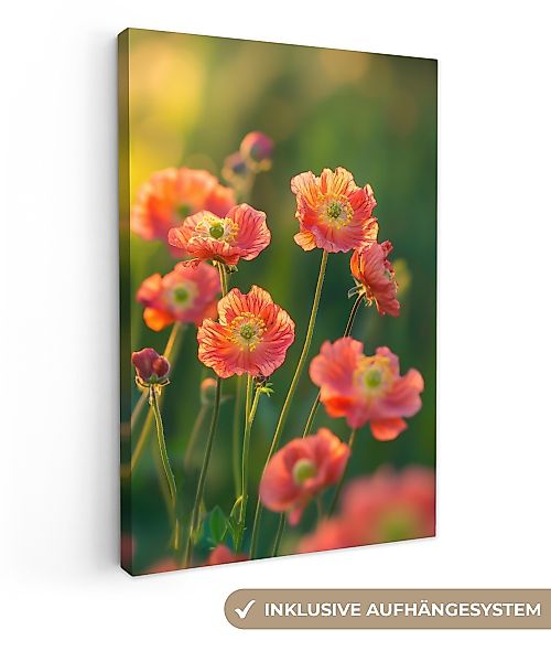 OneMillionCanvasses® Leinwandbild Blumenfeld - Sonnenstrahlen - günstig online kaufen
