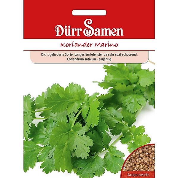 Dürr Samen Koriander Marino Saatgut günstig online kaufen