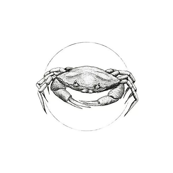 Komar Wandbild Crab White Tiere B/L: ca. 30x40 cm günstig online kaufen