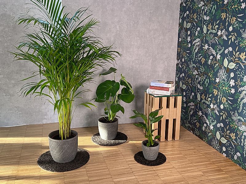 Keilbach Designprodukte Blumentopfuntersetzer Blumentopfunterlage flora-s Ø günstig online kaufen