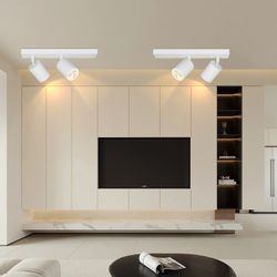 ZMH Deckenstrahler 2 Flammig Deckenleuchte 30CM günstig online kaufen