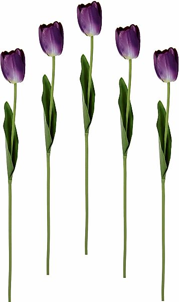 I.GE.A. Kunstblume "Real Touch Tulpen", 5er Set künstliche Tulpenknospen, K günstig online kaufen