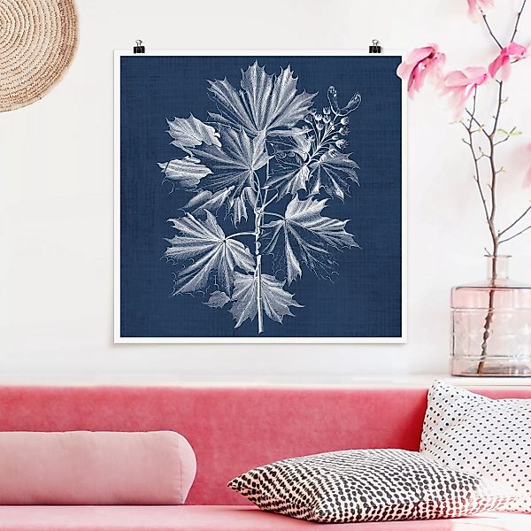 Poster Blumen - Quadrat Denim Pflanzenstudie V günstig online kaufen