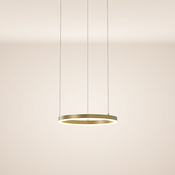 s.luce Pendelleuchte LED Hängelampe Ring 40 günstig online kaufen