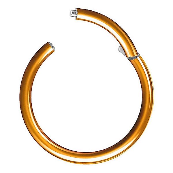 Taffstyle Nasenpiercing Segmentring Piercing Titan G23 günstig online kaufen
