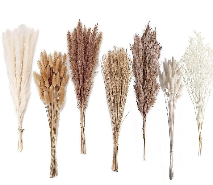 Trockenblume 128 Stück Pampasgras mit Hasenschwanz-Getreideblumen, FOUORTUN günstig online kaufen