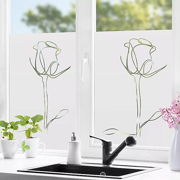 Fensterfolie Line Art Rose günstig online kaufen