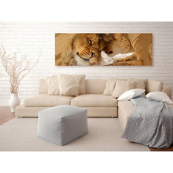 Leinwandbild Lion and Lioness XXL günstig online kaufen