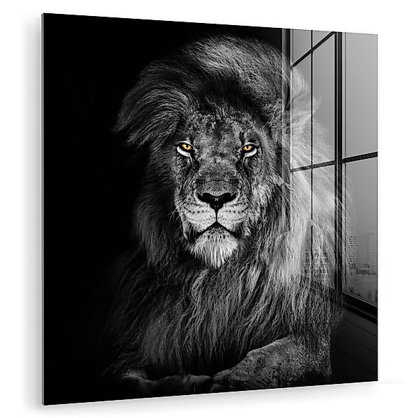 MuchoWow Acrylglasbild Löwe - Augen - günstig online kaufen