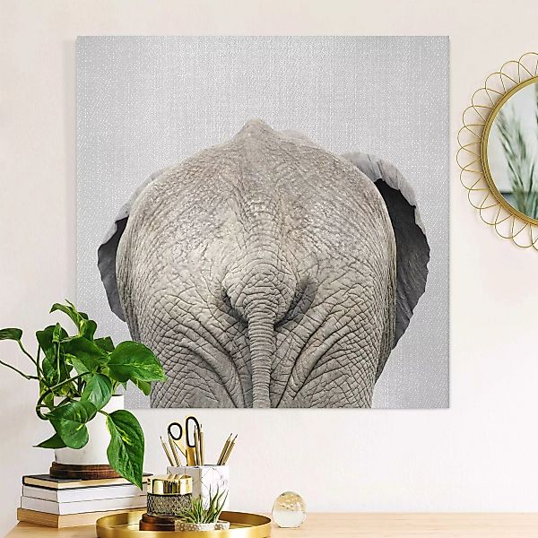 Leinwandbild Elefant von hinten günstig online kaufen