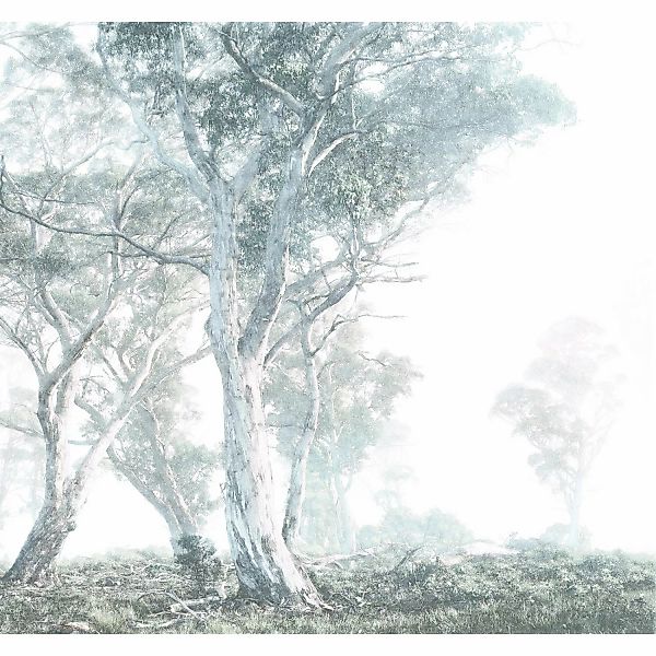 Komar Fototapete Magic Trees B/L: ca. 300x280 cm günstig online kaufen