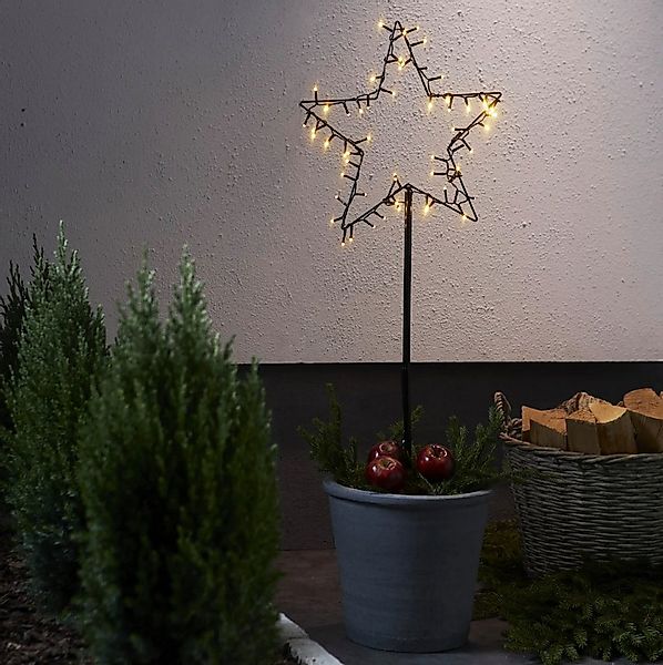 STAR TRADING LED Stern Gartenstecker Spiky, LED fest integriert, warmweiß günstig online kaufen