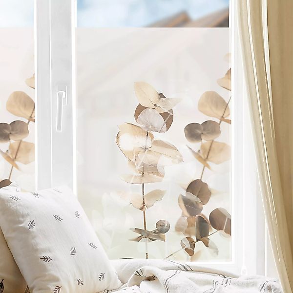 Fensterfolie Goldene Eukalyptuszweige mit Weiß II günstig online kaufen