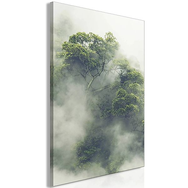 Wandbild - Foggy Amazon (1 Part) Vertical günstig online kaufen