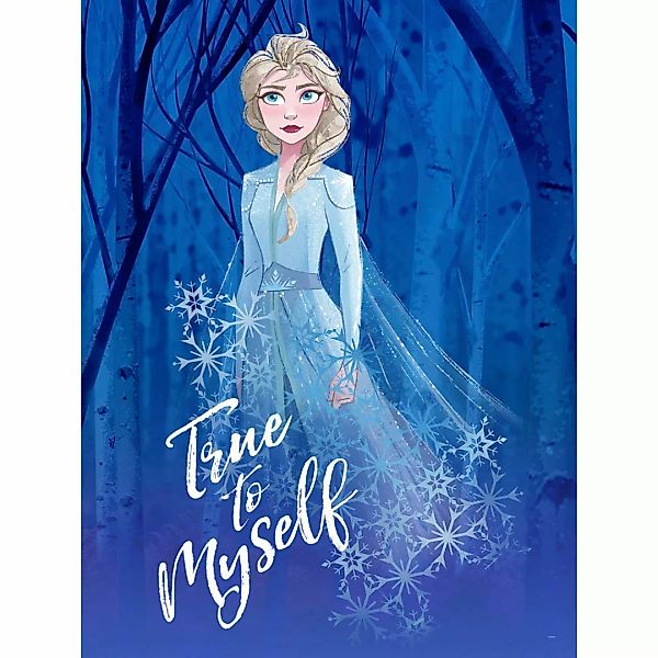 Komar Poster Frozen 2 Elsa true to myself Disney B/L: ca. 30x40 cm günstig online kaufen