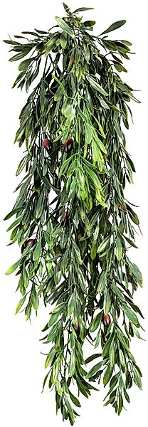 Creativ green Kunstranke "Hängende Olive", mit detailgetreuer Gestaltung günstig online kaufen