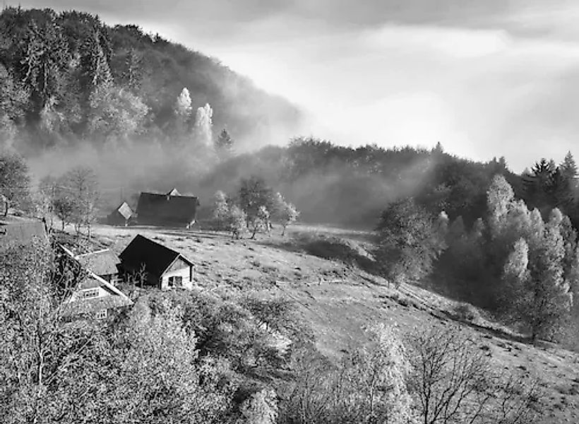 Papermoon Fototapete »Landschaft Schwarz & Weiß« günstig online kaufen