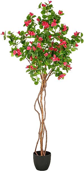 Creativ green Kunstbaum "Bougainvillea", mit schön geformtem Stamm günstig online kaufen