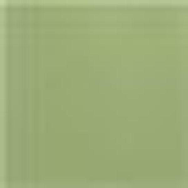 KiNZLER Bettwäsche "Mikrofaser Fleece" 2 Stk. tlg. Uni Farben, angenehm war günstig online kaufen