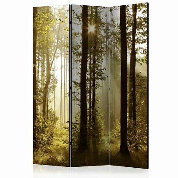 artgeist Paravent Forest: Morning Sunlight  [Room Dividers] mehrfarbig Gr. günstig online kaufen