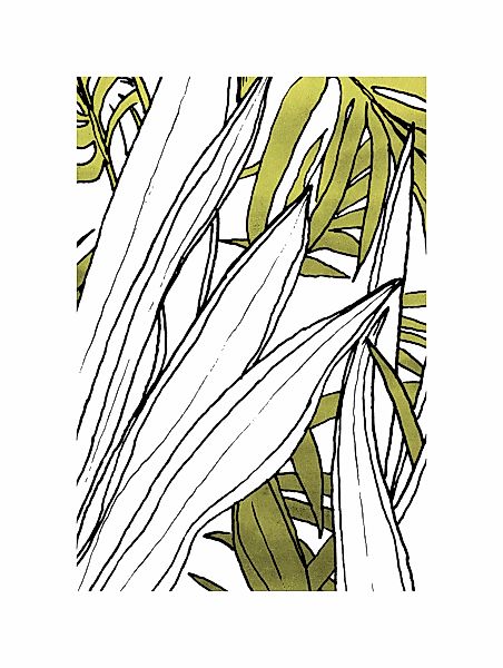Komar Bild "Bleached Leaves", Natur, (1 St.), Wandbild zur Dekoration - ohn günstig online kaufen