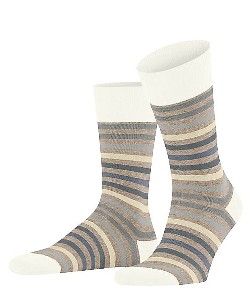 FALKE Socken Tinted Stripe (1-Paar) mit günstig online kaufen