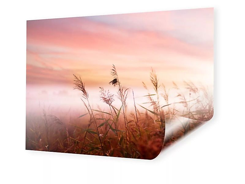 Foto auf Backlit-Folie im Format 100 x 75 cm im Format 100 x 75 cm günstig online kaufen