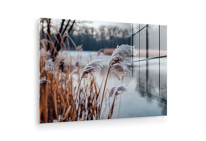 MuchoWow Acrylglasbild Schilf - Gras - Natur - Winter - See, Inkl. Aufhängu günstig online kaufen