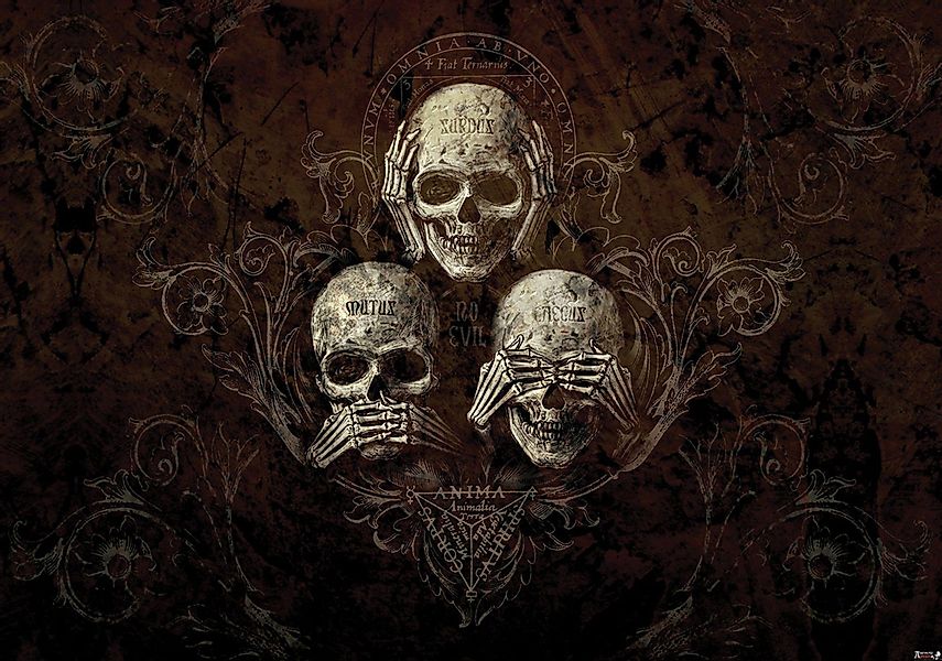Wallarena Fototapete Totenkopf Schädel Gothic Alchemy günstig online kaufen