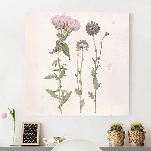 Leinwandbild Botanik - Quadrat Herbarium in rosa III günstig online kaufen