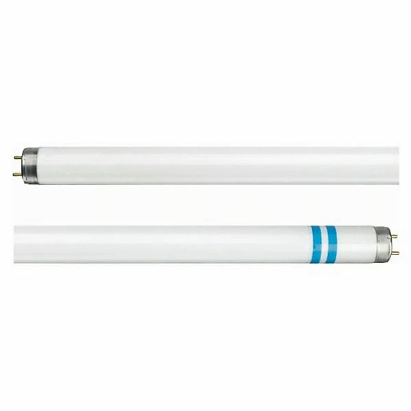 Philips G13 T8 Leuchtstoffröhre mit Splitterschutz günstig online kaufen