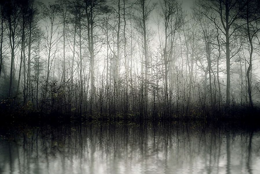 queence Leinwandbild »Der Nebel« Baumbilder   Bäume   Kunst 1 Stk. tlg. Aku günstig online kaufen