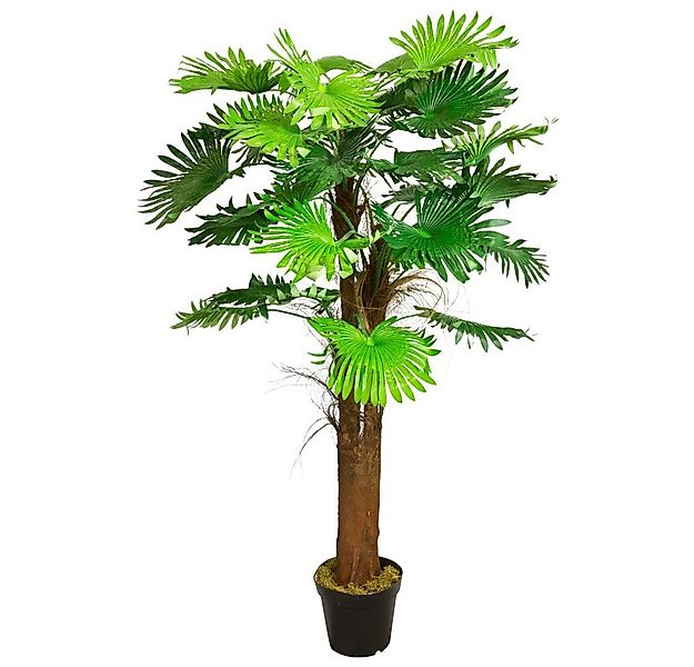 Kunstpalme Palme Palmenbaum Fächerpalme Kunstpflanze Künstliche Pflanze 180 günstig online kaufen