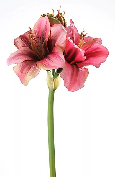 Kunstblume Amaryllis 50cm günstig online kaufen