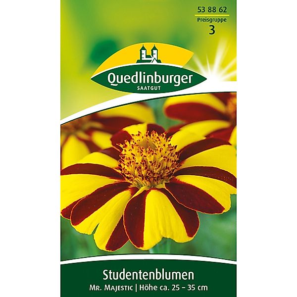 Quedlinburger Studentenblume ''Mr. Majestic'' günstig online kaufen
